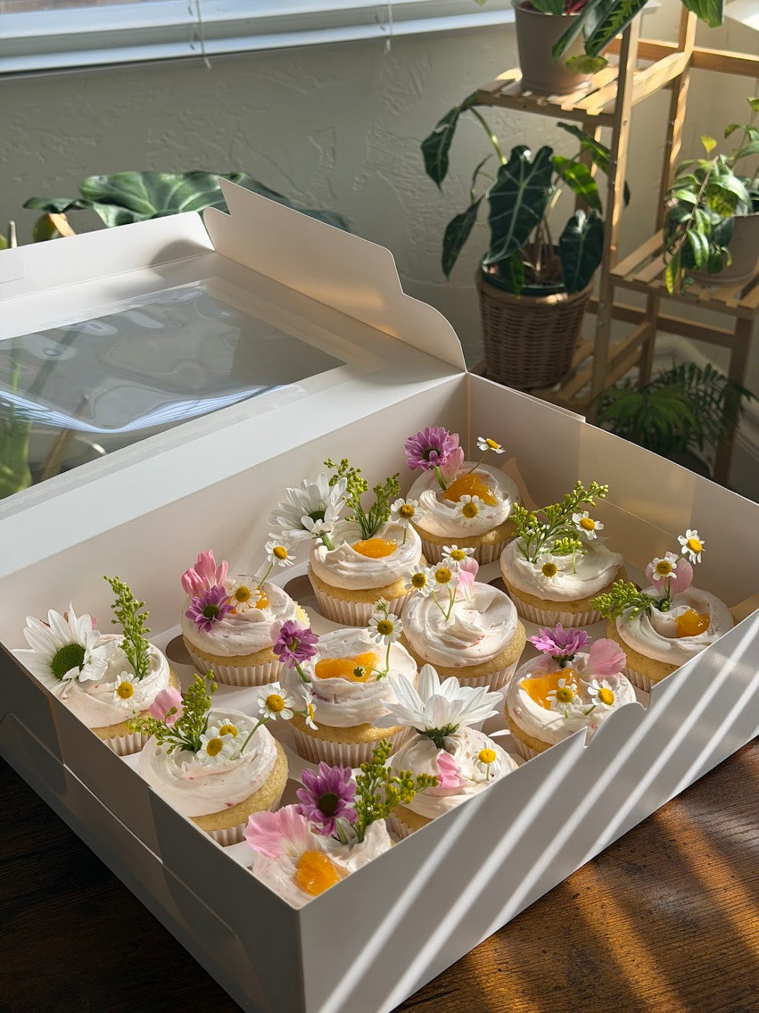 Meadow Cuppies