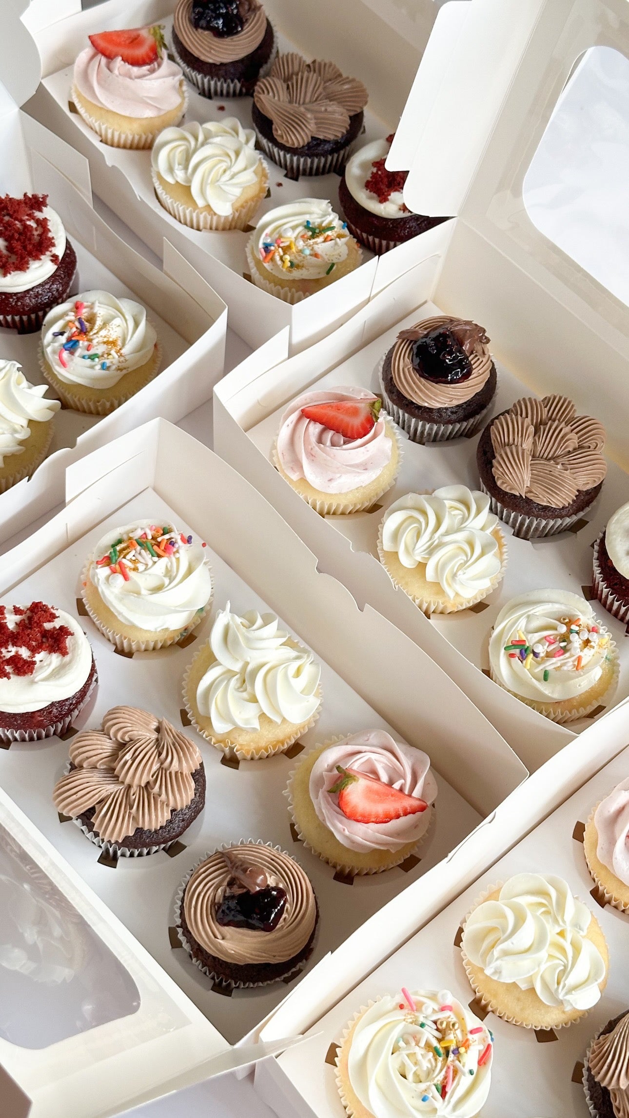 Tasting Box