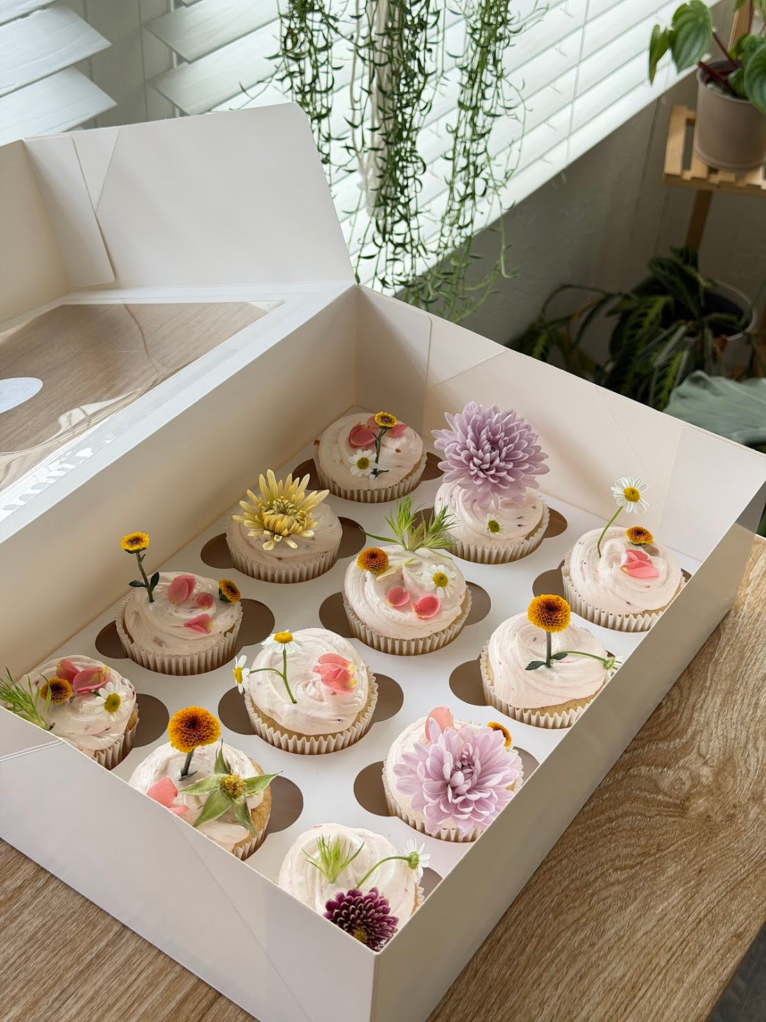 Meadow Cuppies